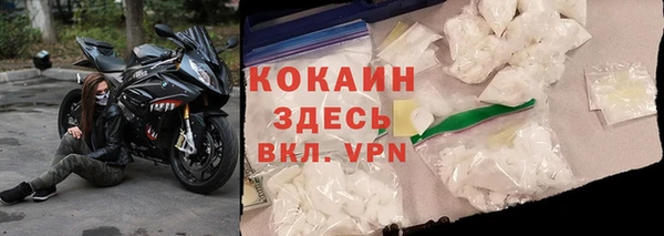 гидра Белокуриха