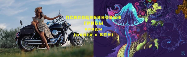 синтетический гашиш Богородицк