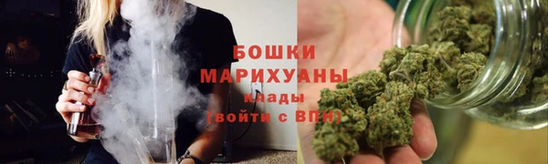 гидра Белоозёрский