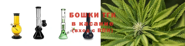spice Богданович