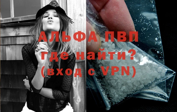 прущие грибы Богородск
