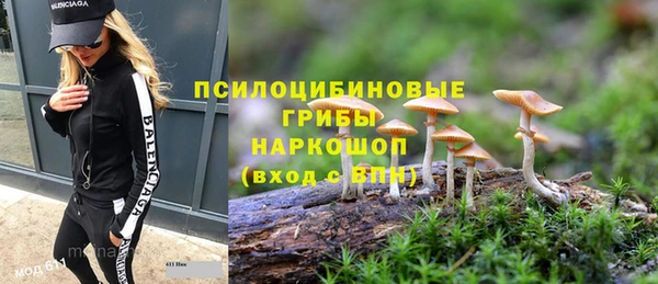 spice Богданович