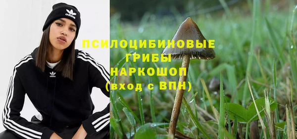 гидра Белоозёрский