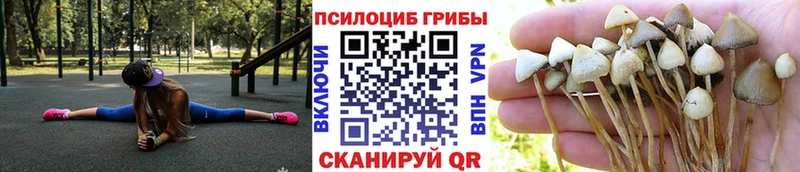 Галлюциногенные грибы Cubensis  Олёкминск 